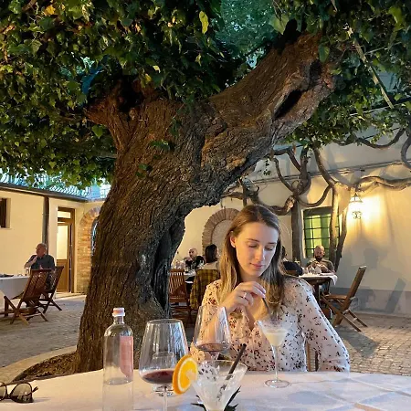 Hotel Antica Al Gelso 3*