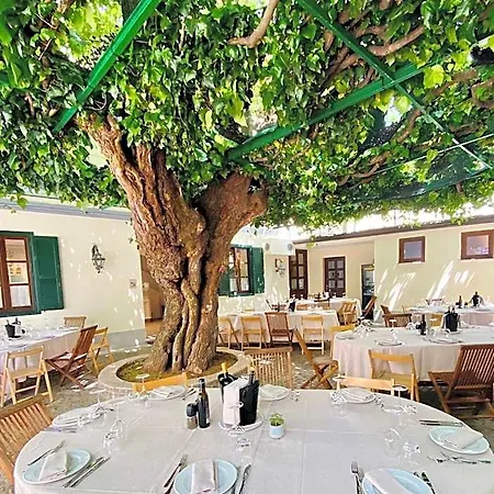 Antica Al Gelso