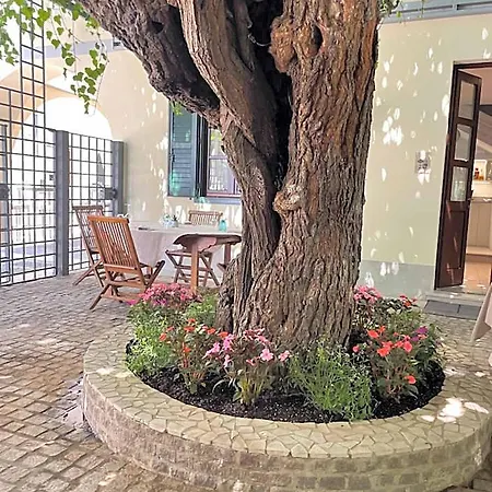 Antica Al Gelso 3* 蒙法尔科内